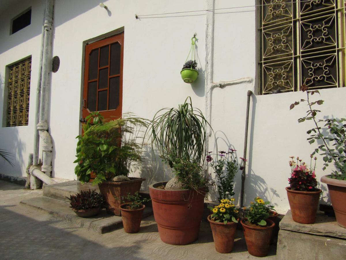 Nadya Homestay For Female & Family 斋浦尔 外观 照片